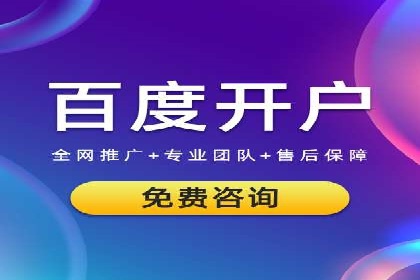 某某SEM团队成功案例：广告投放策略揭秘